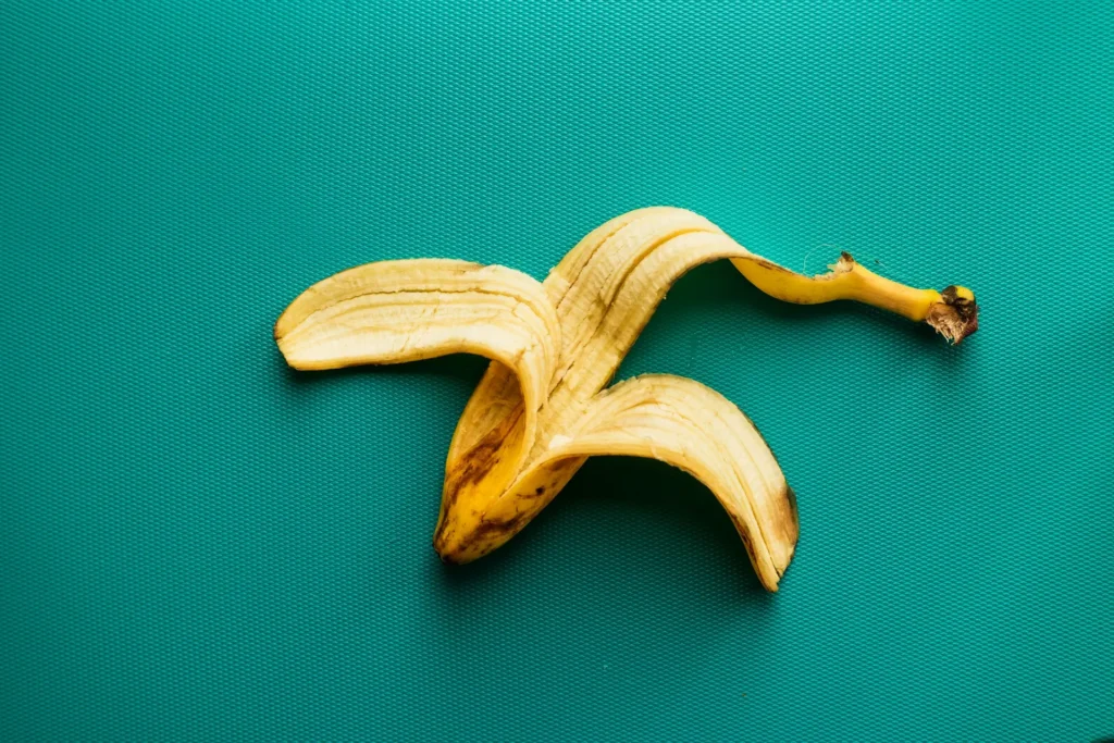 Cachorro pode comer banana com casca